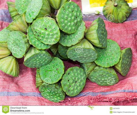No:( but i wish there was! Asian Market Foods Lotus Flower Stock Image - Image of ...