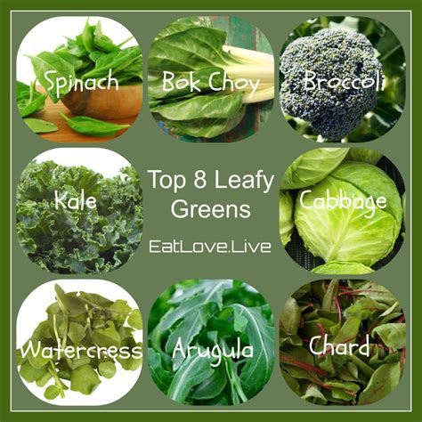 Discover The Amazing Benefits Of Leafy Greens Eatlovelive