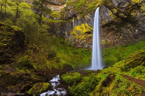 Elowah Falls Oregon Waterfalls Waterfall Hikes Beautiful Waterfalls