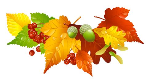 Foliage Clipart Fall Decoration Pencil And In Color Foliage Clipart