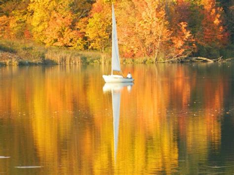 Maybe you would like to learn more about one of these? 1000+ images about Potato Creek State Park on Pinterest ...