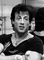 File:Sylvester Stallone.jpg - Wikipedia