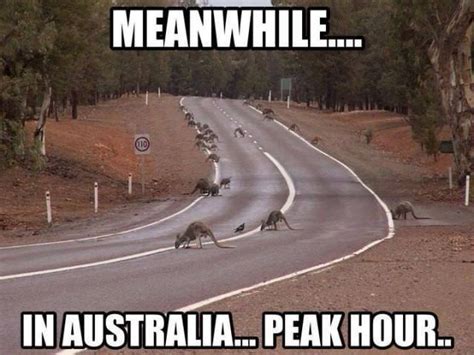 The best memes from instagram, facebook, vine, and twitter about australia day. 28 Funny Crazy Meme Pictures Meanwhile In Australia ...