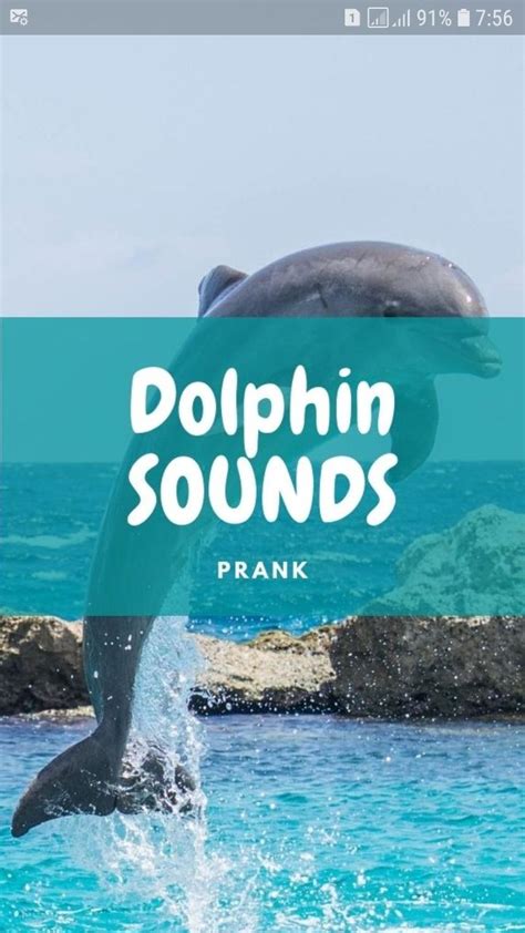 Dolphin Sounds And Wallpapers Apk Untuk Unduhan Android