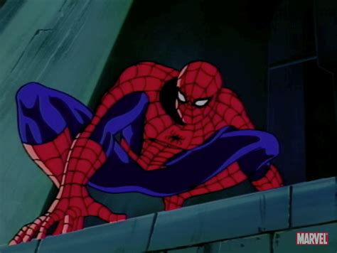Spider Man The New Animated Series Animated Series