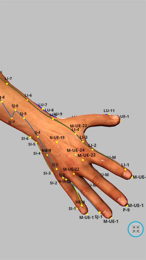 Meridian Acupuncture Acupuncture Points Chart Acupressure Points