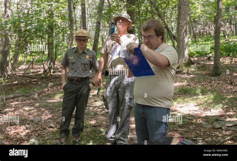 Salamander Study Barse The Exploring Earth Science Teacher Workshop