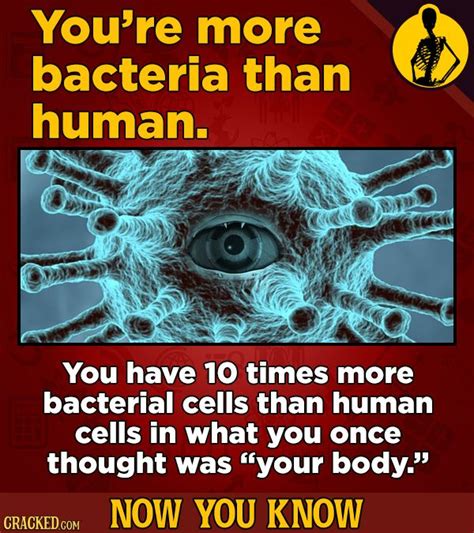 22 Kinda Gross Facts About The Human Body Thatll Make You Feel A