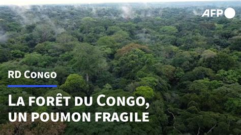 Le Poumon Vert Du Congo Surveillé Par Les Scientifiques Afp Youtube
