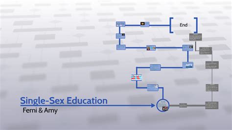 What Is Single Sex Education By Amy Toll