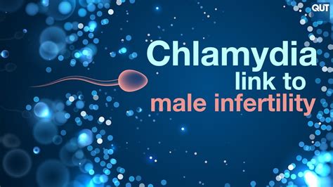 Chlamydia And Men S Fertility Youtube