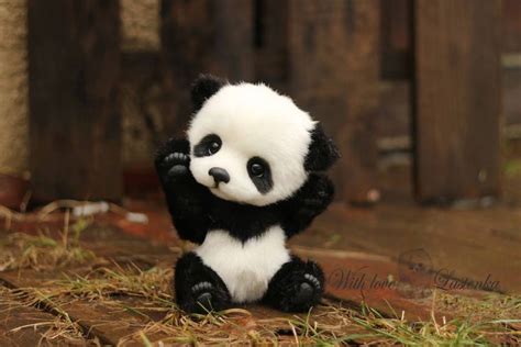 Pin By Rachael Christie On Ava Cute Panda Panda Bear Baby Animals