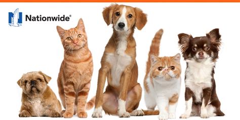 Pet insurance plans and routine pet wellness coverage that can be added onto any plan for a more comprehensive insurance package. Nationwide Pet Insurance | APHA