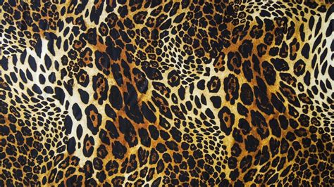 Leopard Print Computer Wallpapers Wallpaper Cave