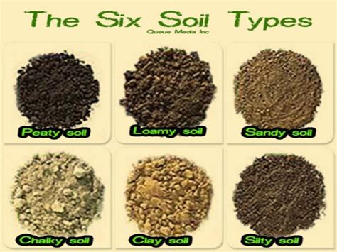 The Six Soil Types Suitable Gardening Soil Diy Gardening And Better Living