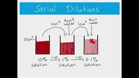 As Biology How To Calculate Serial And Simple Dilutions Youtube
