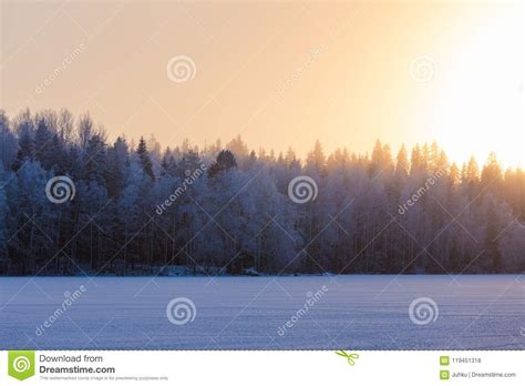 Frozen Lake Sunset Stock Photo Image Of Foggy Season 119451318