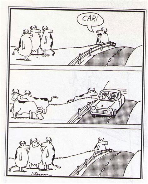 Andrew Male On Twitter Cows Also Star In The Best Far Side Cartoon