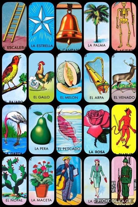 La lotería (lotería mexicana) is a traditional mexican card game which is similar to bingo. Roldan loteria | Loteria cards, Diy loteria cards, Bingo cards printable