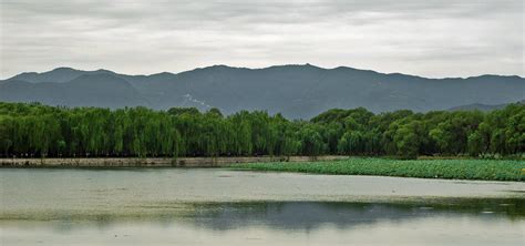 Wallpaper Landscape Forest Hill Lake Water Nature Reflection