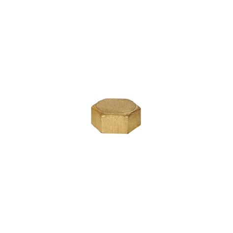 Buy Brass Hexagon Cap Jtl Fittings Valves Ban Soon Hardware