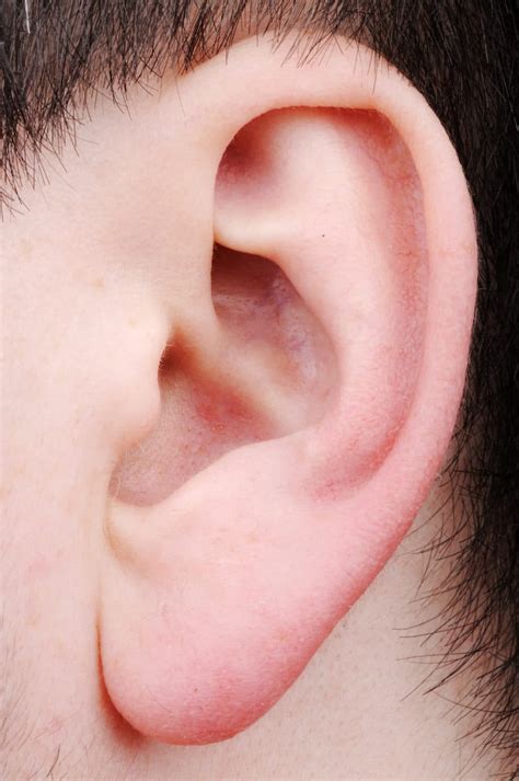 Dumb Tone Deaf Or Both Bullocks Do This Ear Training Aris Bass Blog