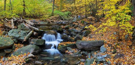 Autumn Woods And Creek Stock Image Image Of Color Foliage 16696717