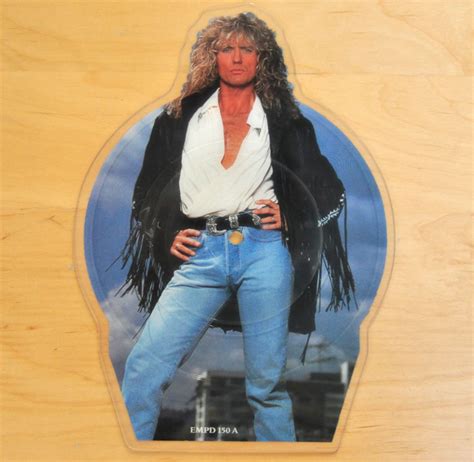 Whitesnake Now Youre Gone Shaped 7 Picture Disc Vinyl 12 Inch