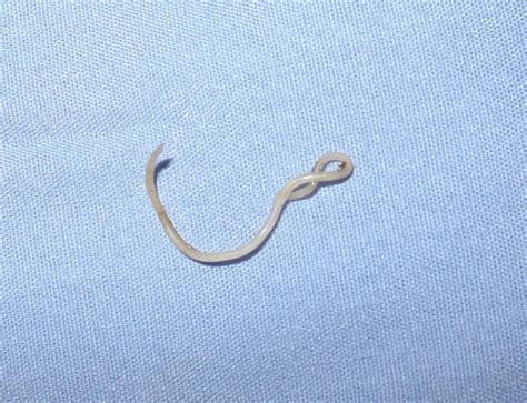 Worm Infestation In Children Treatment Causes And Symptoms