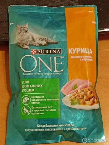 Кот не ест а только пьет воду похудел почему