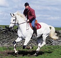 7 Training and Management Tips from British Olympian John Whitaker ...