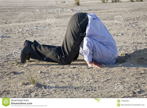 Bury Your Head In The Sand Stock Photo Image Of Picture