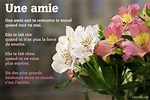 Carte Poétique d'Amitié - Envoi Virtuel Affectionné et Gratuit