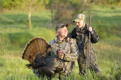 Wild Turkeys Facts And Hunting The Poultry Guide