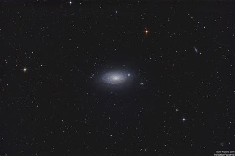 M63 Sunflower Galaxy Astrophotography By Hrastro