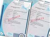 Pictures of Jamaica Civil Birth Registration