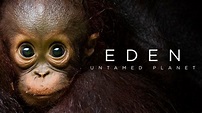 Eden: Untamed Planet - BBC America Series - Where To Watch