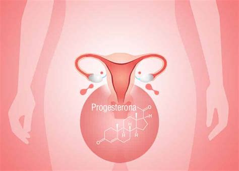 Progesterona ¿qué Es Y Qué Efectos Tiene Cuidateplus 48 Off