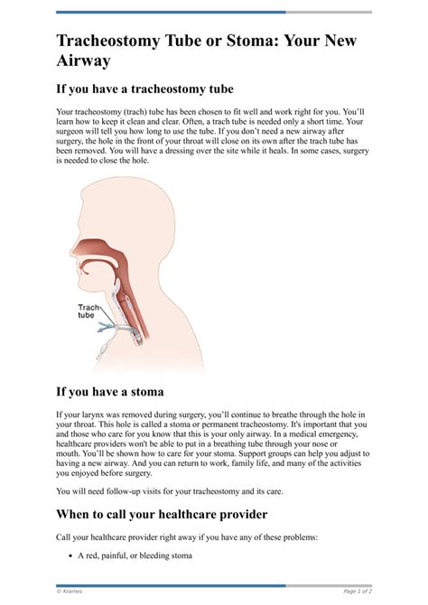 Text Tracheostomy Tube Or Stoma Your New Airway Healthclips Online