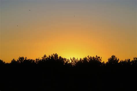 Sunset Evening Sky Free Photo On Pixabay Pixabay