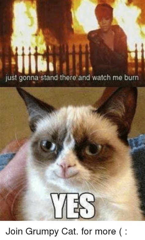 Just Gonna Stand There And Watch Me Burn Yes Join Grumpy Cat For More