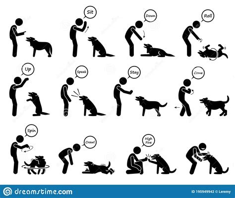 How Do You Teach A Dog Basic Commands