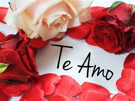 Imagenes De Amor Para El 14 De Febrero Dia De San Valentin Amor Y