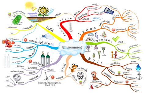 Environment Mind Map Study Strategies Teaching Science