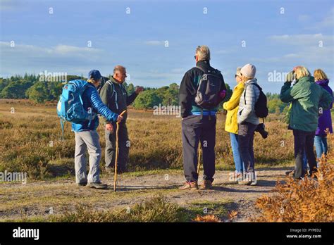 Official Guide On The New Forest National Park Walking Festival
