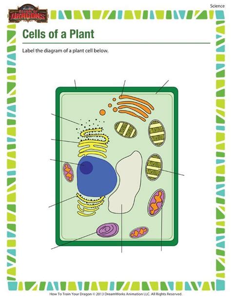 5th Grade Plant Cell Diagram New Cells Of A Plant Printable Science