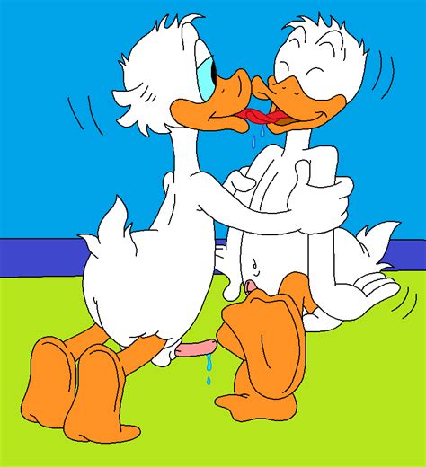 Kissing Ducks Story Viewer
