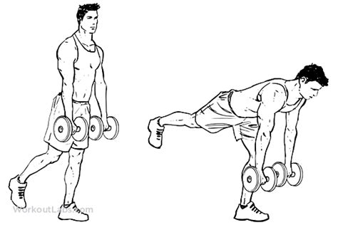 Single Straight Leg Dumbbell Deadlift Workoutlabs