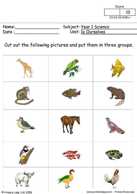 Teach Child How To Read 1st Grade Science Worksheets For Grade 1 Animals