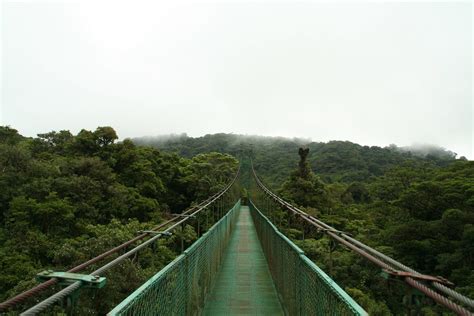 Canopy Bridge In Costa Rica Canopy Bridge In Monteverde Flickr